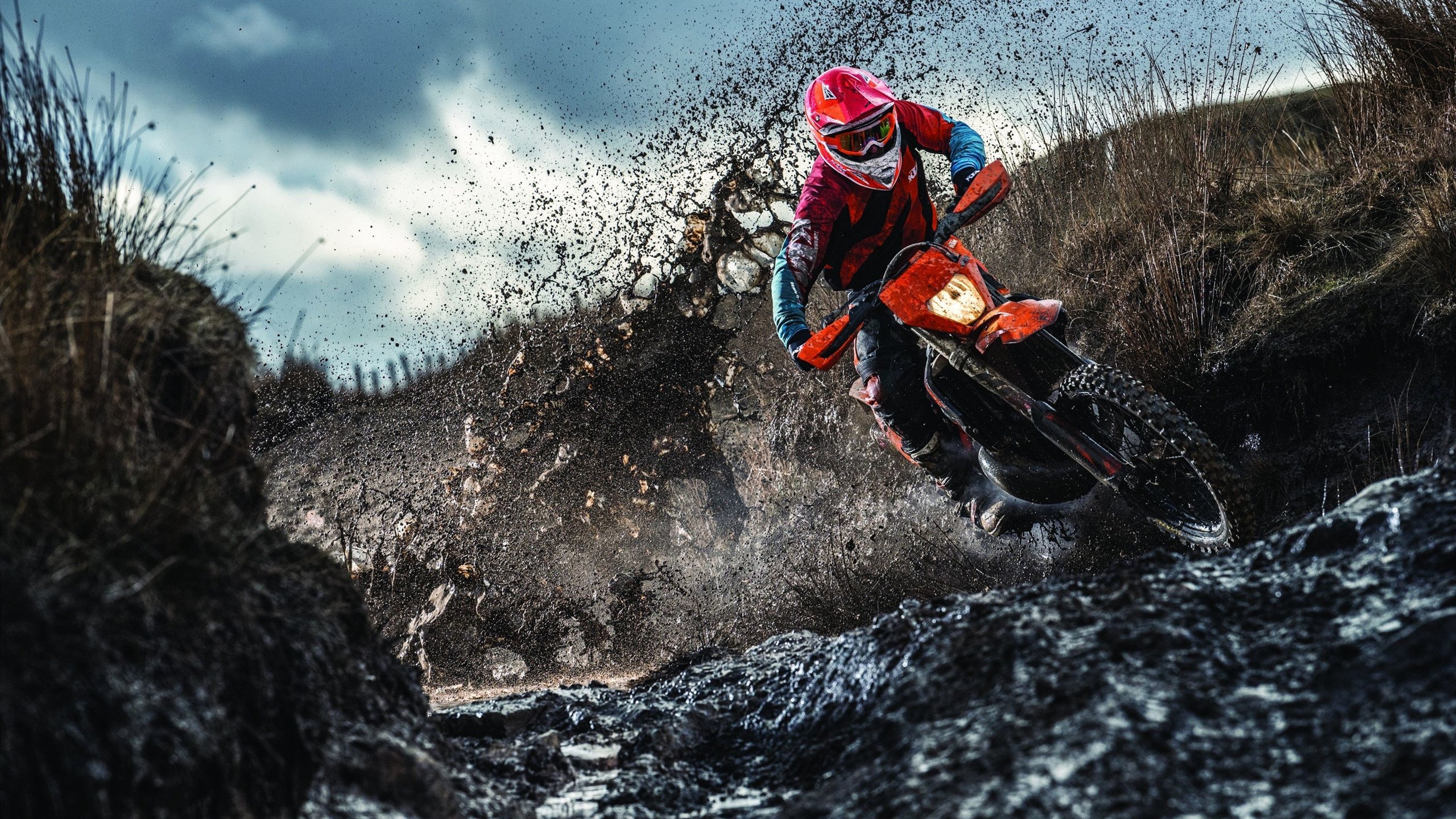 沙特国王杯直播