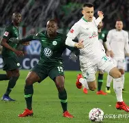 德国杯沃尔夫斯堡对沙尔克04